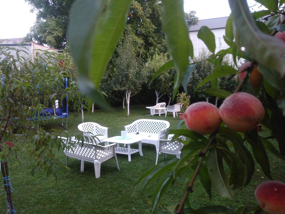Elite Apartment Jasmina Bihać Esterno foto