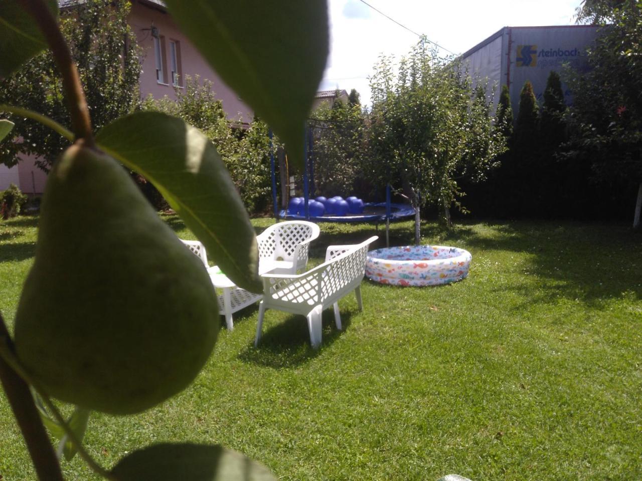 Elite Apartment Jasmina Bihać Esterno foto